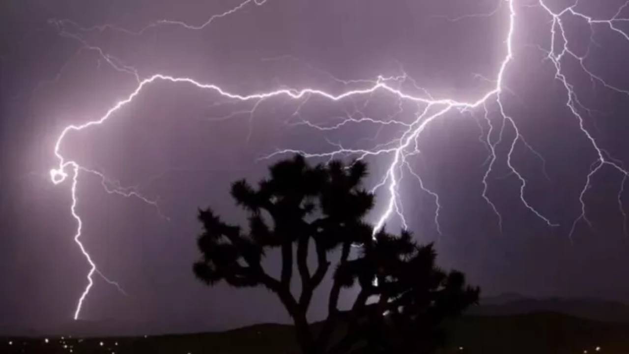 Bihar: పిడుగుపాటుకు 12 మంది మృతి