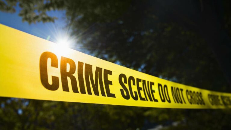 Crime News : పల్నాడు జిల్లా ముప్పాళ్ళలో దారుణం.. సహజీవనం చేస్తున్న మహిళతో పాటు, ఆమె కొడుకు హత్యకు ప్లాన్‌