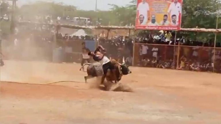 Jallikattu: తమిళనాడు జల్లికట్టులో విషాదం.. ఎద్దు కుమ్మడంతో యువకుడికి గుండెపోటు..