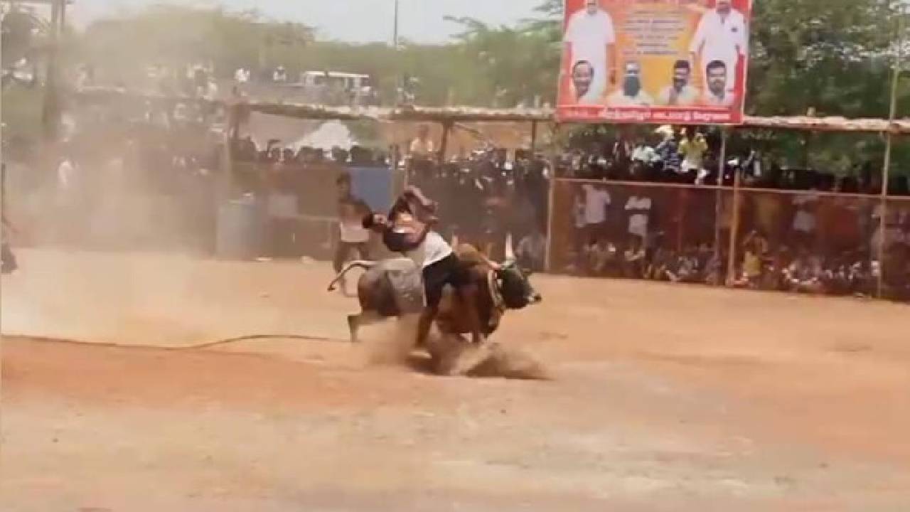 Jallikattu: తమిళనాడు జల్లికట్టులో విషాదం.. ఎద్దు కుమ్మడంతో యువకుడికి గుండెపోటు..