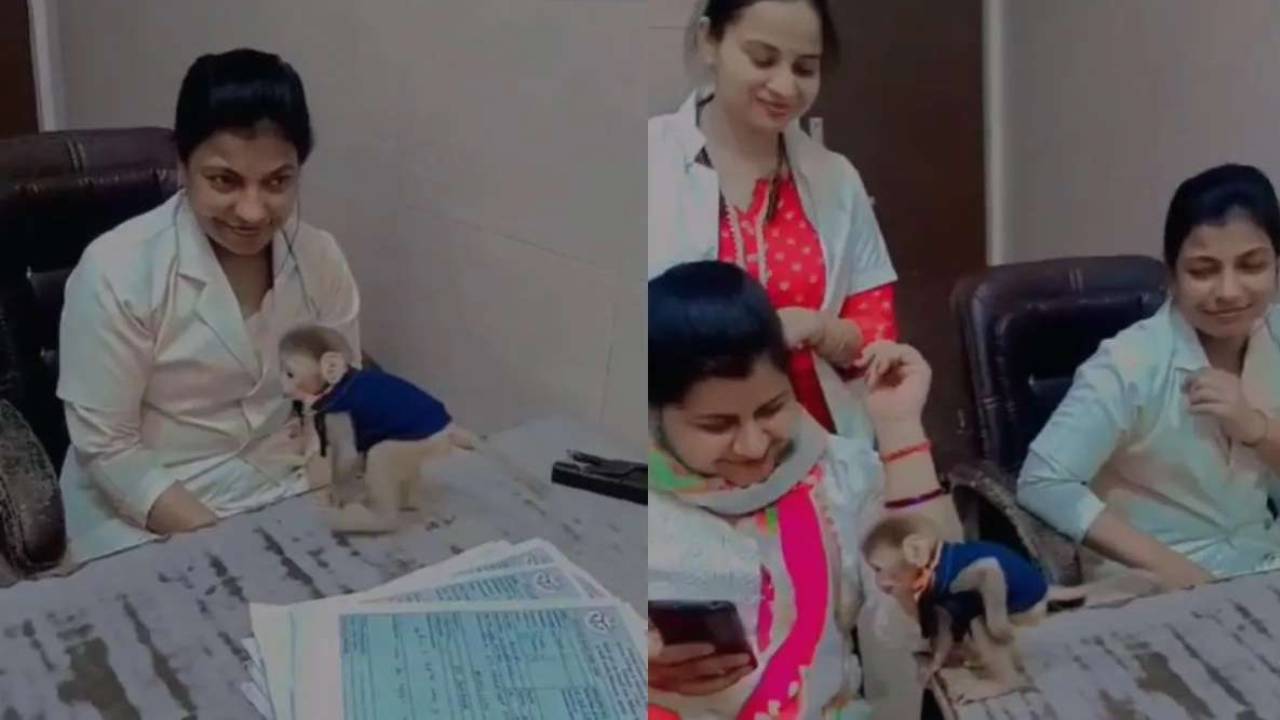 Uttarpradesh : కోతితో రీల్ చేసి వైరల్ అయి సస్పెండైన నర్సులు