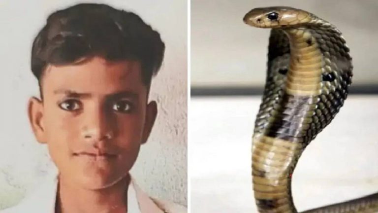 Uttarpradesh : మంచంపై పడుకున్న యువకుడు.. ప్యాంట్‎లోకి దూరి ప్రైవేట్ పార్టుపై కాటేసిన పాము