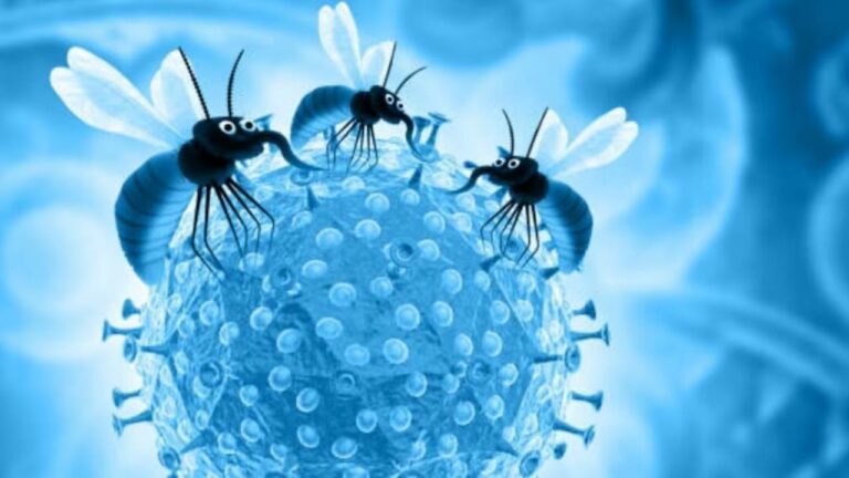 Zika Virus : పుణెలో జికా వైరస్‌ కలకలం.. వెలుగులోకి ఆరు కేసులు.. రోగుల్లో ఇద్దరు గర్భిణులు