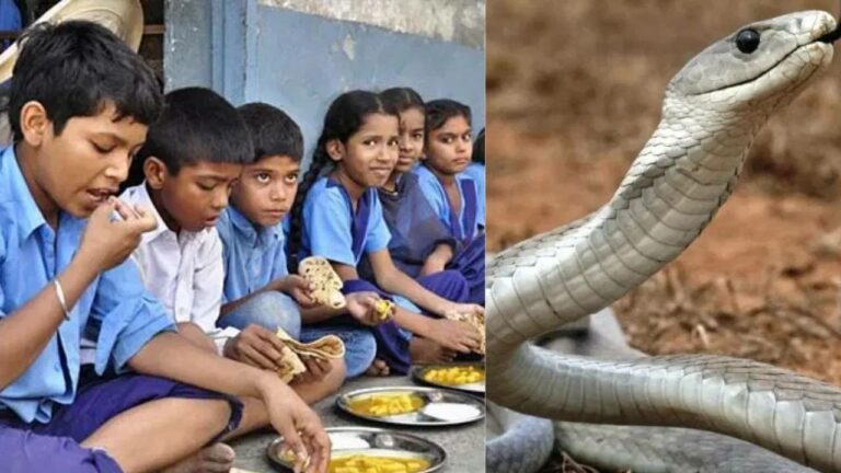 Snake In Meals :  మధ్యాహ్న భోజన ప్యాకెట్లో పాము..భయంతో పరుగులు తీసిన విద్యార్థులు