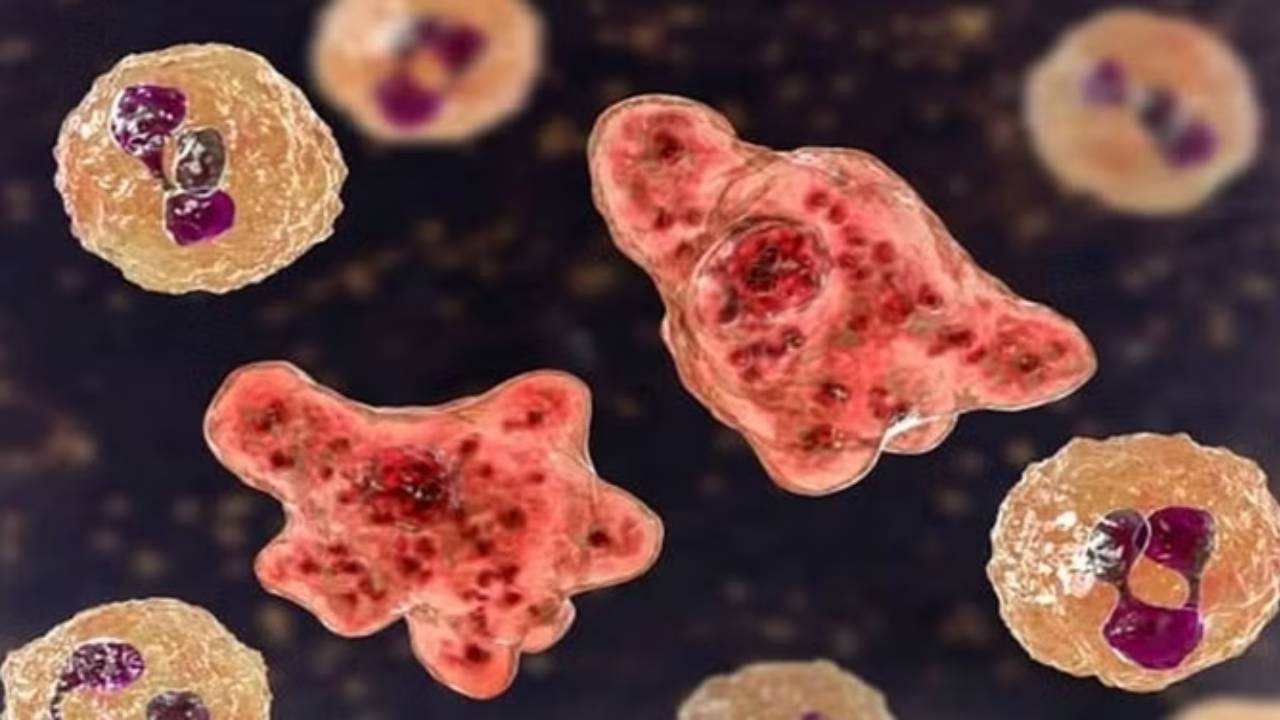 Kerala : కేరళలో మరో చిన్నారికి బ్రెయిన్ ఈటింగ్ అమీబా ఇన్ఫెక్షన్..  జాగ్రత్తగా ఉండాలని హెచ్చరిక