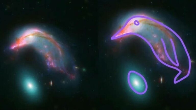 NASA: ” అంతరిక్షంలో పెంగ్విన్ తన గుడ్డును కాపాడుకుంటోంది..!” నాసా విడుదల చేసిన గ్యాలెక్సీల చిత్రాలు..