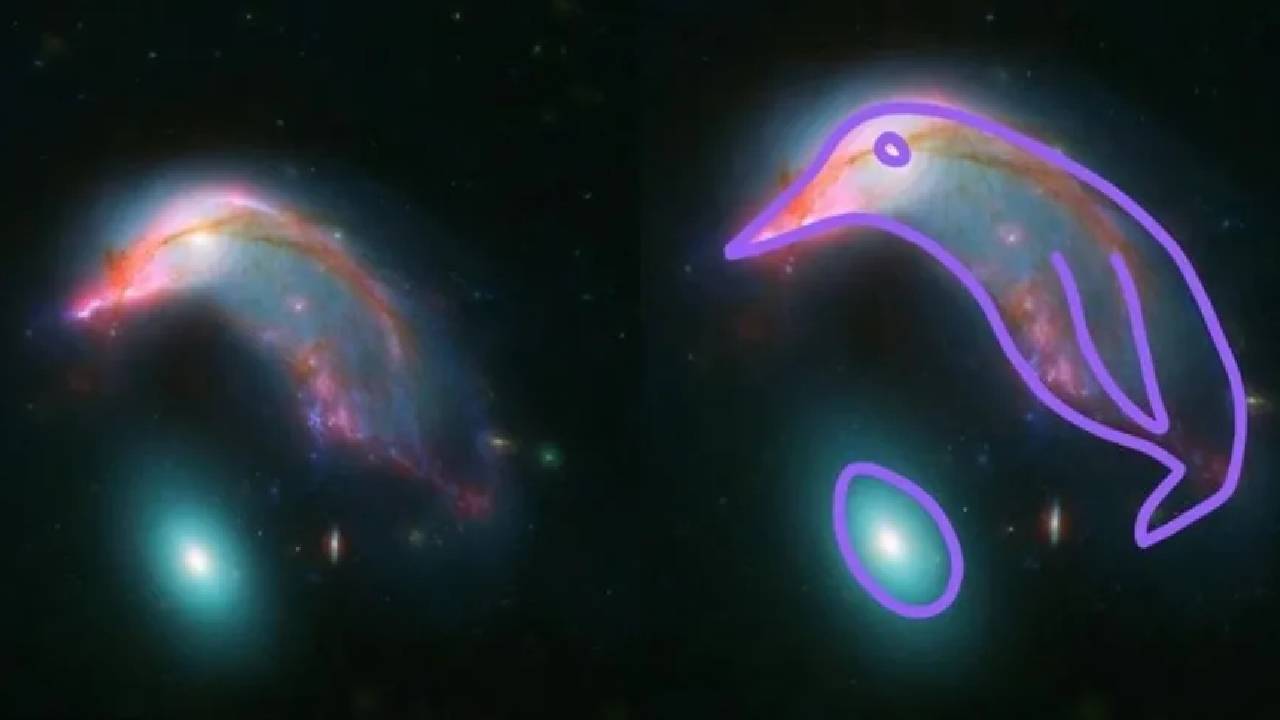 NASA: ” అంతరిక్షంలో పెంగ్విన్ తన గుడ్డును కాపాడుకుంటోంది..!” నాసా విడుదల చేసిన గ్యాలెక్సీల చిత్రాలు..