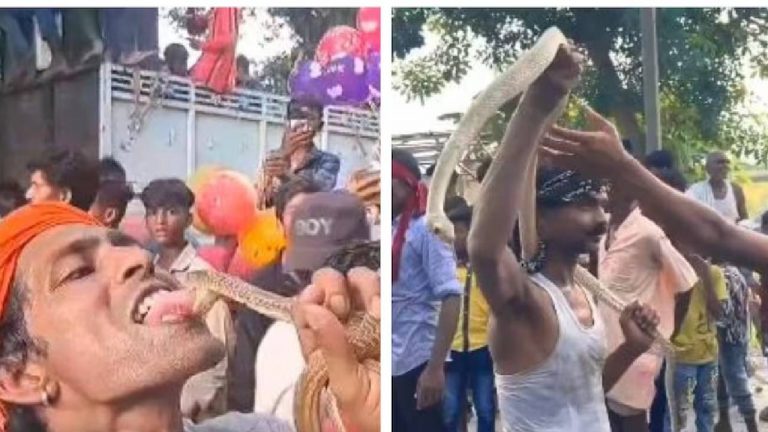 Poisonous Snakes: ఏటా ఘనంగా పాముల జాతర..విషసర్పాలను నోటిలో కరచుకుని ఊరేగింపు