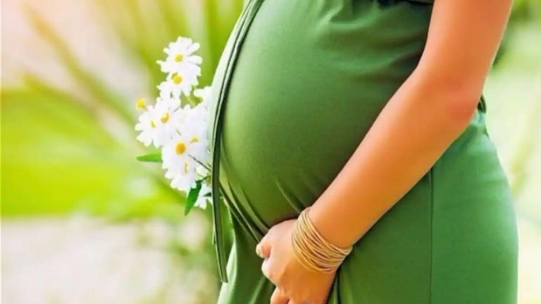 Pregnant Ladies: గర్భిణీ స్త్రీలు వర్షాకాలంలో ఆరోగ్యంగా ఉండాలంటే ఈ చిట్కాలను పాటించాల్సిందే..