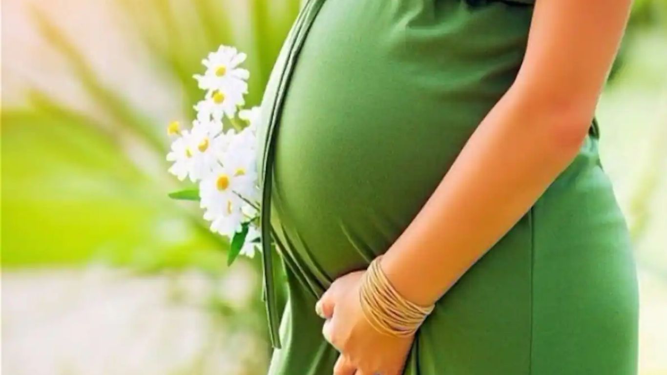 Pregnant Ladies: గర్భిణీ స్త్రీలు వర్షాకాలంలో ఆరోగ్యంగా ఉండాలంటే ఈ చిట్కాలను పాటించాల్సిందే..