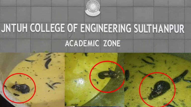 Rat in Chutney: సుల్తాన్ పూర్ జేఎన్టీయూ కాలేజీ క్యాంపస్ లో చట్నీలో ఎలుక..