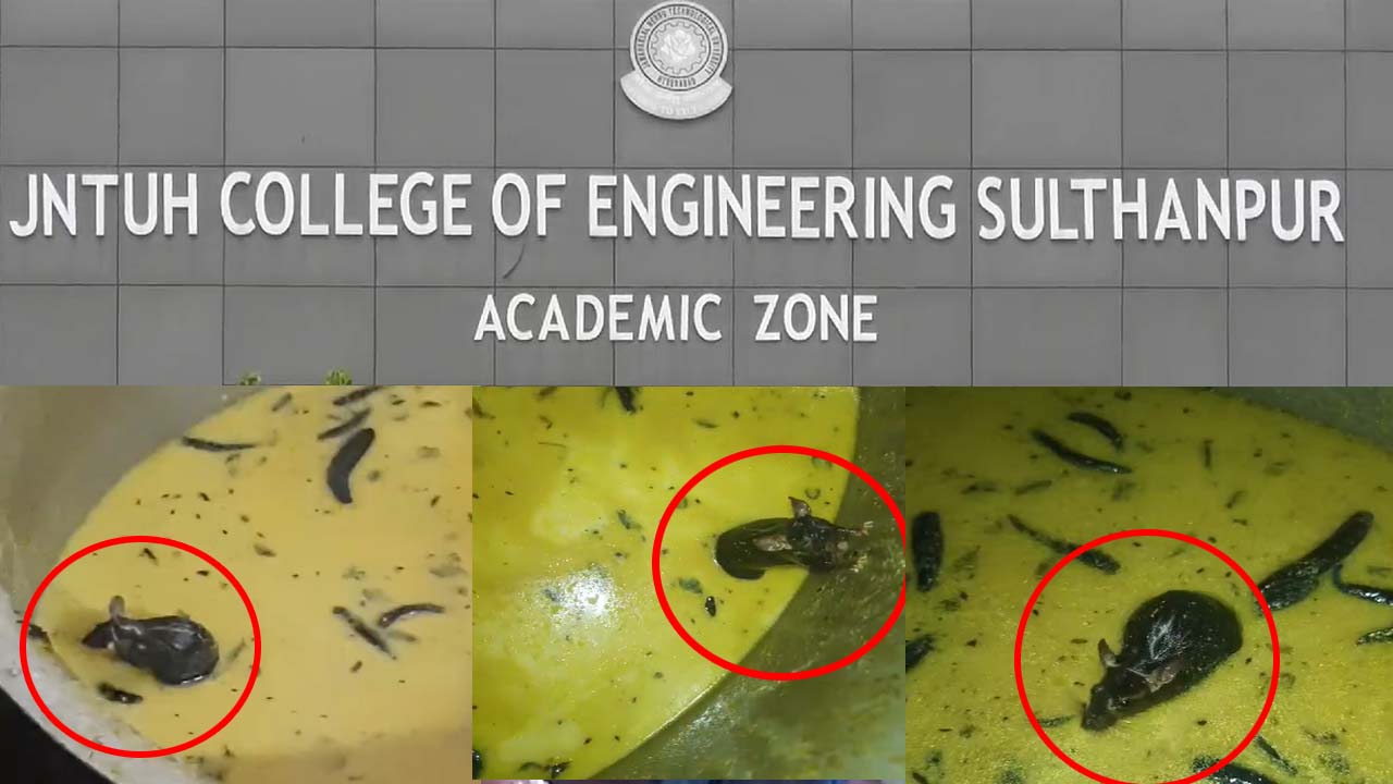 Rat in Chutney: సుల్తాన్ పూర్ జేఎన్టీయూ కాలేజీ క్యాంపస్ లో చట్నీలో ఎలుక..