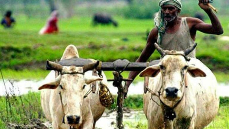 Rythu Bharosa Conferences: రేపట్నుంచి రాష్ట్ర వ్యాప్తంగా రైతు భరోసా సదస్సులు.. 22 వరకు వర్క్ షాప్