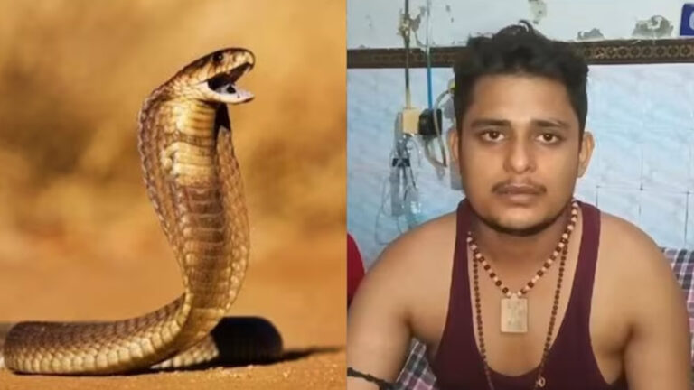 Snake Bites: మరోసారి పాము కాటుకు గురైన వ్యక్తి.. 40 రోజుల్లో ఏడోసారి