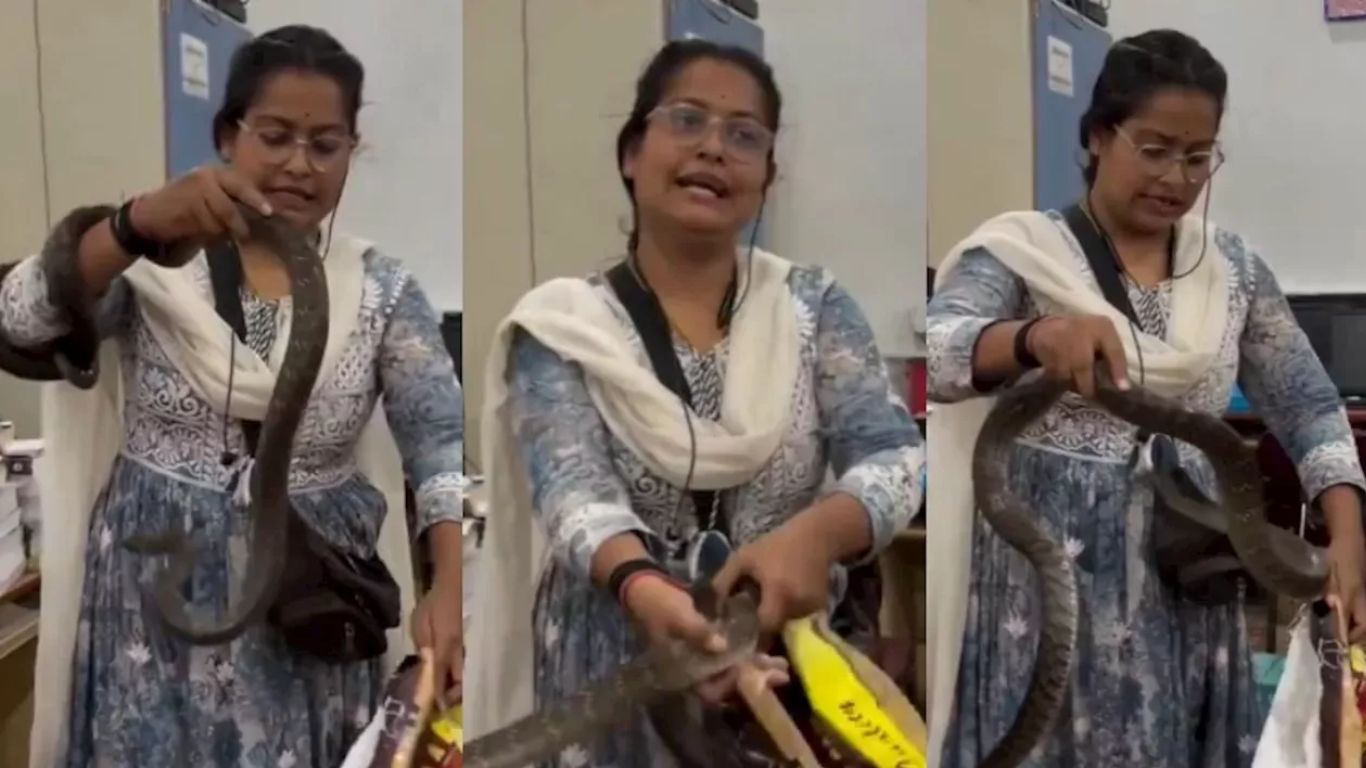 Brave Lady: ఈమె ఎవరండీ బాబు.. అలా వచ్చి ఇలా  పామును పట్టేసింది.. (వీడియో)