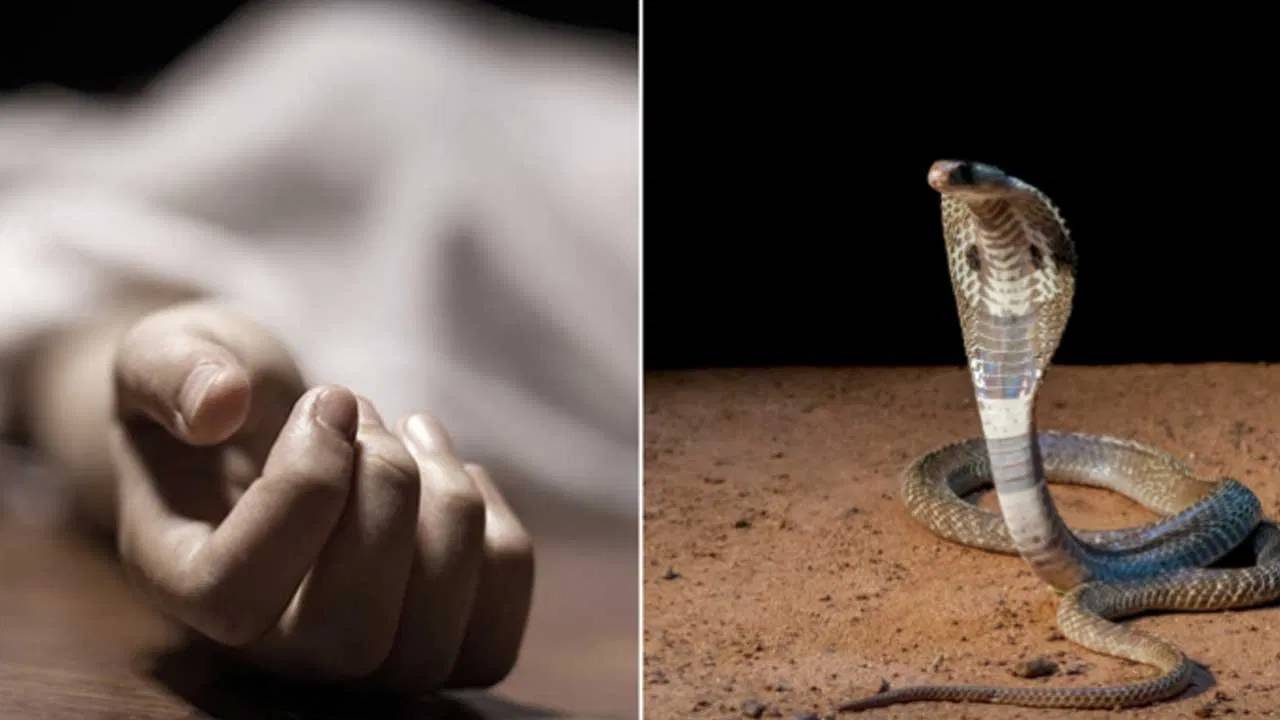 Snake Bite: పాముతో ఫొటో దిగాలని బలవంతం పెట్టిన మిత్రులు..సర్పం కాటుకు యువకుడి బలి