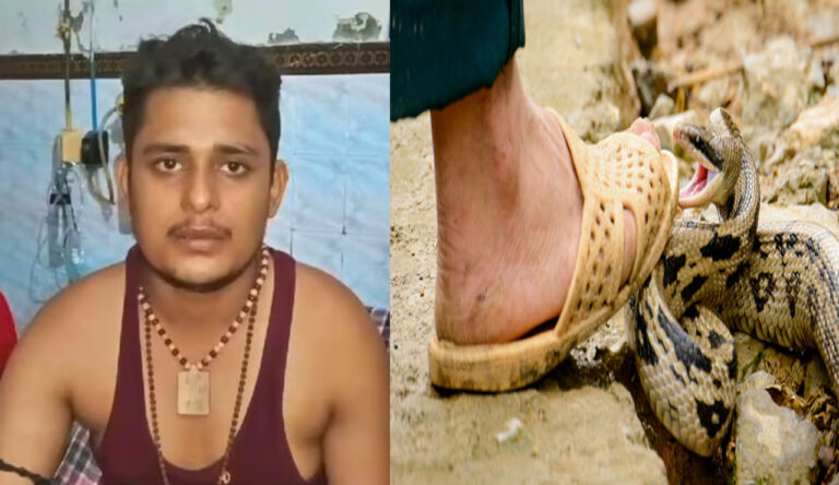 Snake Bites : నెల రోజుల్లో ఒకే వ్యక్తిని 5 సార్లు కాటేసిన పాము.. చివరకు..