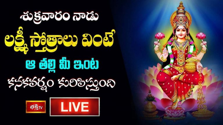 Sri Lakshmi Stotram: లక్ష్మీ స్తోత్రాలు వింటే ఆ తల్లి మీ ఇంట కనకవర్షం కురిపిస్తుంది