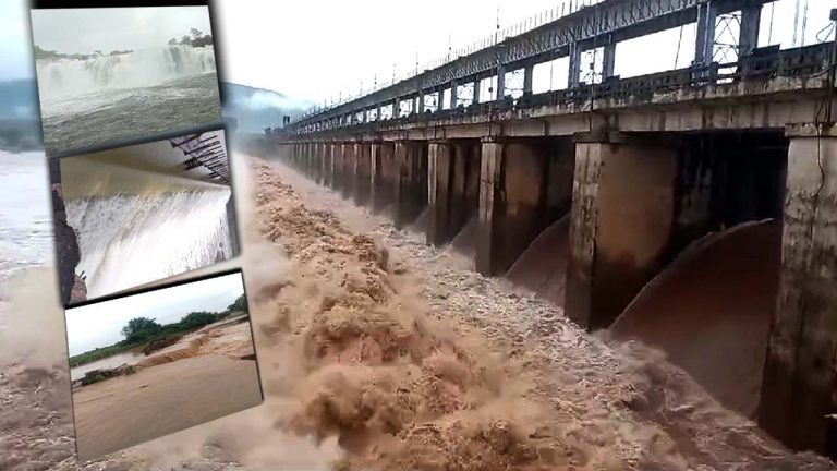 Telangana: దంచికొడుతున్న వానలు.. ఉప్పొంగుతున్న ప్రాజెక్టులు