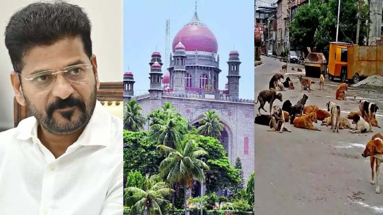 Telangana High Court: తెలంగాణలో వీధి కుక్కల దాడులు.. హైకోర్టు సీరియస్‌..