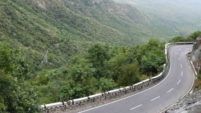 Tirumala: తిరుమల ఘాట్‌ రోడ్డులో ప్రమాదం