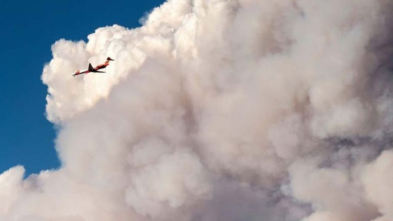 US: ఒరెగాన్ ఫారెస్ట్‌లో కూలిన ట్యాంకర్ విమానం.. పైలట్ మృతి