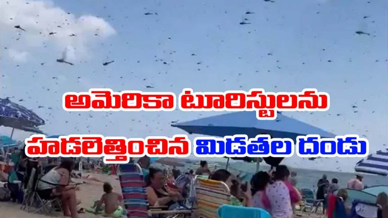 US Beach video: టూరిస్టులపై మిడతల దండు దాడి.. తుఫాన్ మాదిరిగా బీభత్సం
