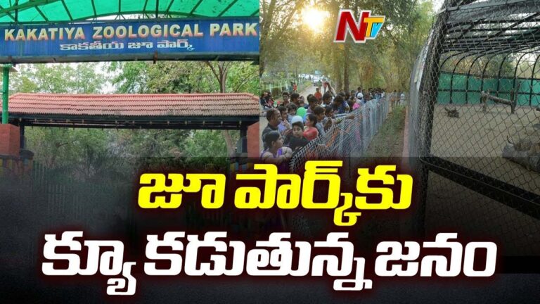 Warangal Zoo Park: జుతువులను దత్తత తీసుకోండి.. పెంచుకోండి.. కాకతీయ జూపార్క్‌ ఆఫర్‌..