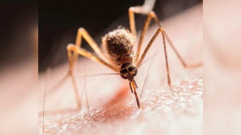 Zika Virus: పూణేలో ‘‘జికా వైరస్’’ కలకలం.. 9కి చేరిన కేసుల సంఖ్య..