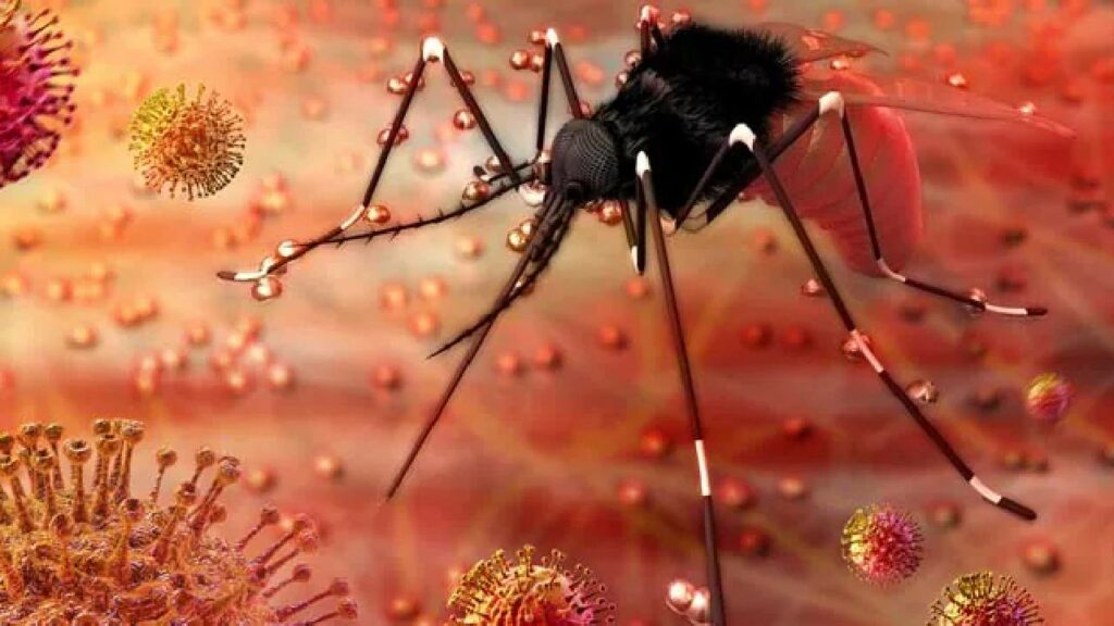 Zika Virus , Maharashtra