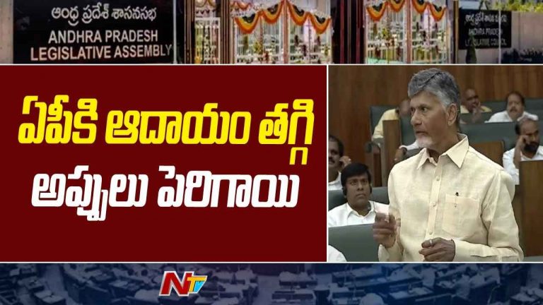 CM Chandrababu: ఏపీ అప్పు రూ.9.74 వేల కోట్లు.. తలసరి అప్పు రూ.1.44 లక్షలు..