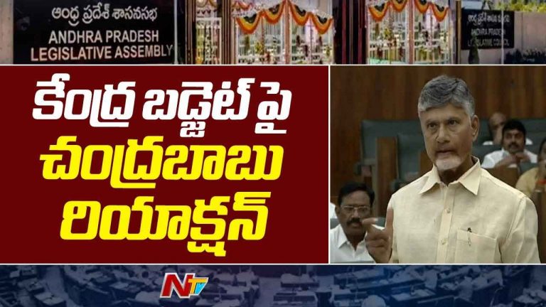 CM Chandrababu: ఏపీ ఆర్థిక వ్యవస్థకు కేంద్రం ఆక్సిజన్ ఇచ్చింది..