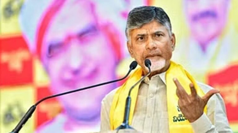 CM Chandrababu: అడ్డగోలుగా వ్యవహరించిన అధికారుల జాబితా ఇవ్వండి.. పార్టీ నేతలకు చంద్రబాబు సూచన..