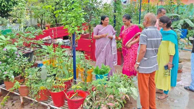 Farm on Terrace :  ఇంటి డాబాపై 800 మొక్కలు పెంచిన వైద్య దంపతులు