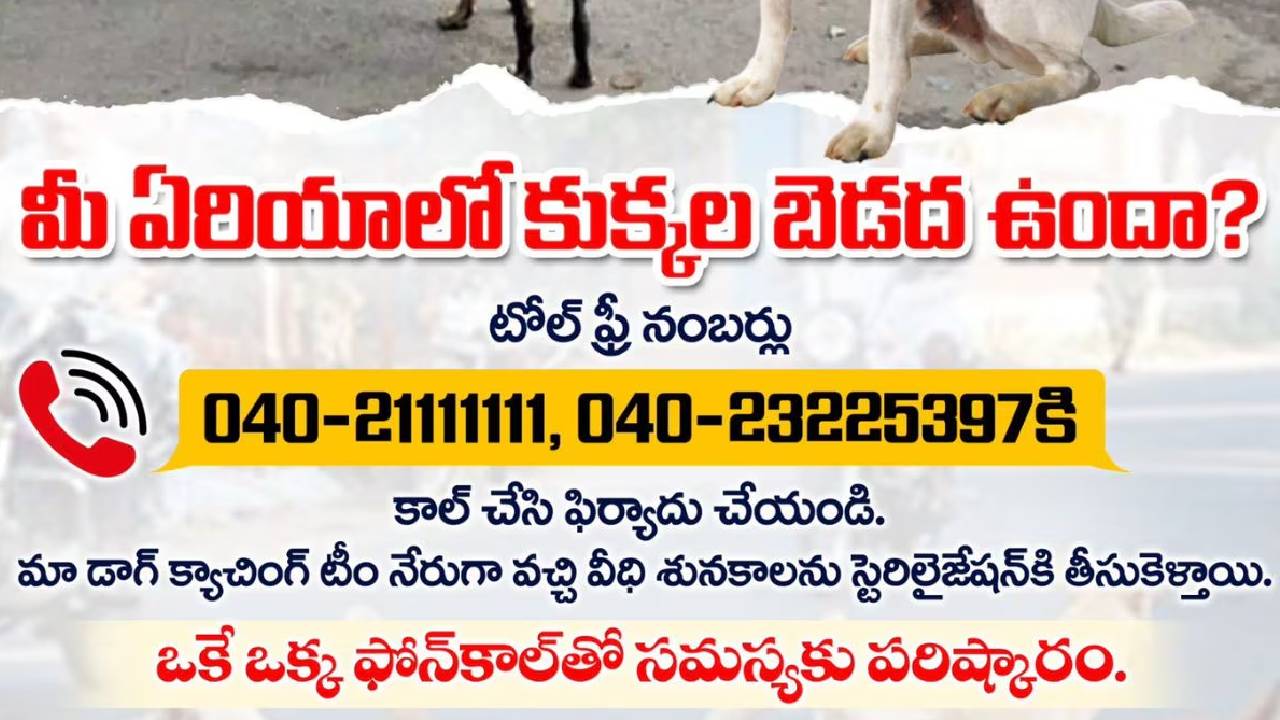 GHMC: మీ వీధిలో కుక్కలు అధికంగా ఉన్నాయా? అయితే ఈ నంబరుకు ఫోన్ చేయండి..