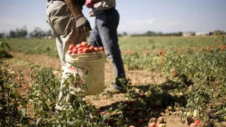 Italy: బానిస బతుకు నుంచి 33 మంది భారతీయ కార్మికులకు విముక్తి..