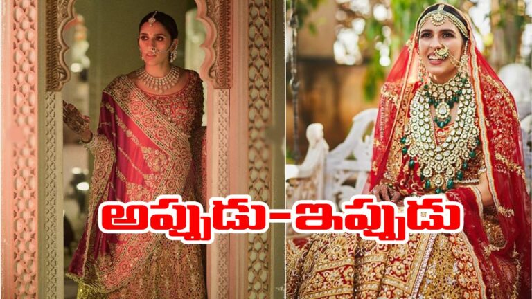 Anant Ambani Wedding: వైరల్‌గా మారిన శ్లోకా మెహతా డ్రస్.. కారణమిదే!