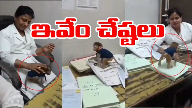 Video viral: డ్యూటీలో పిల్ల కోతితో నర్సులు రీల్స్.. అధికారుల వేటు