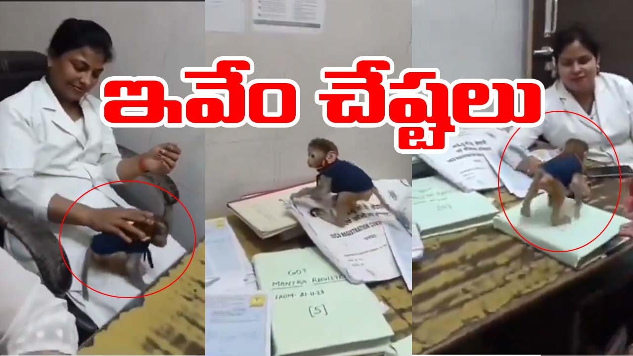 Video viral: డ్యూటీలో పిల్ల కోతితో నర్సులు రీల్స్.. అధికారుల వేటు