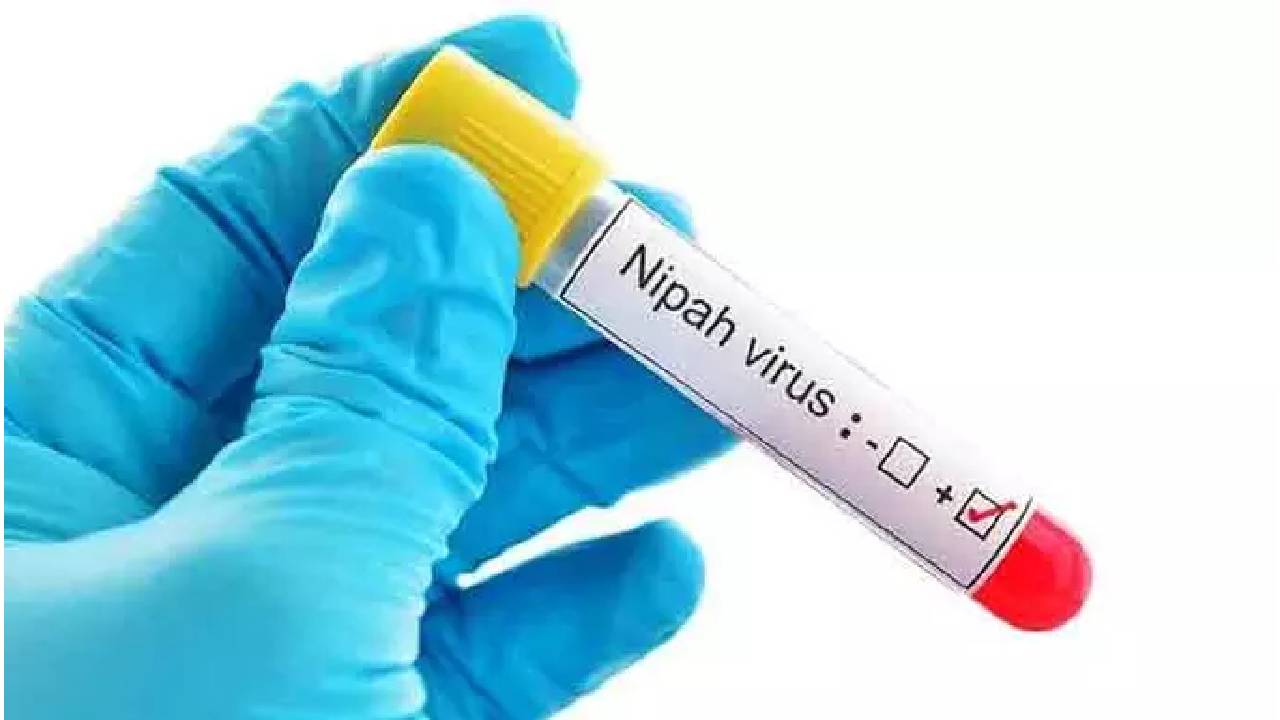 Nipah virus: కేరళలో మళ్లీ నిపా వైరస్ ముప్పు..గబ్బిలాల నుంచి వ్యాప్తి