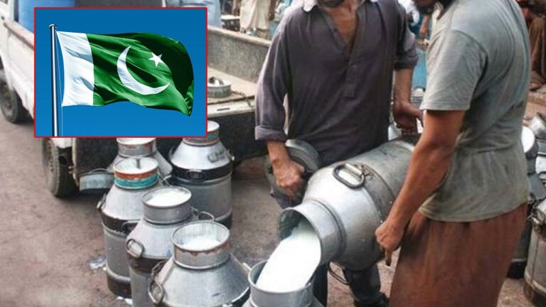 Milk Price In Pakistan: పాక్⁭లో దడ పుట్టిస్తున్న పాల ధర.. ప్రజలు ఏం చేశారంటే..?