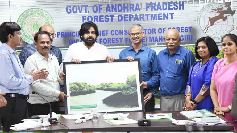 Deputy CM Pawan Kalyan: మడ అడవుల విధ్వంసంపై చట్టపరంగా చర్యలు.. డిప్యూటీ సీఎం వార్నింగ్‌