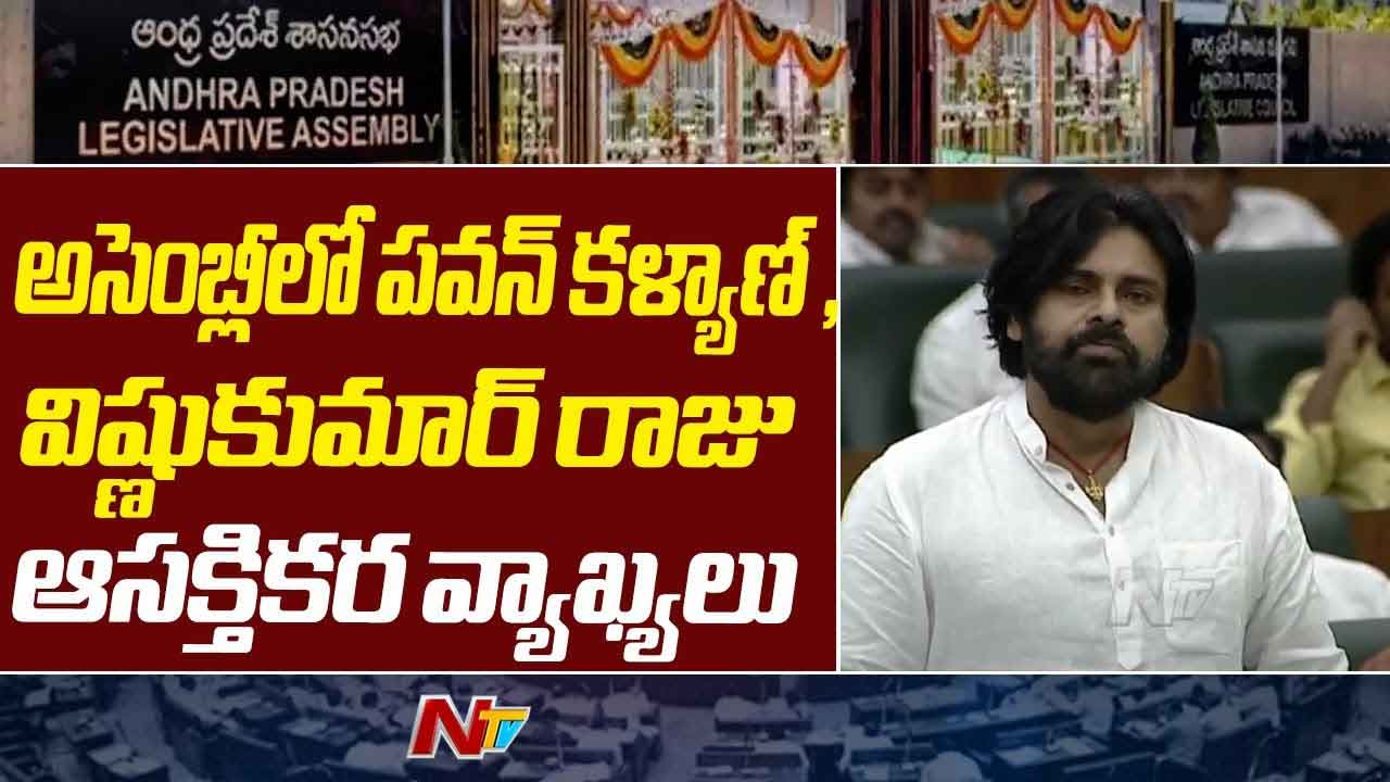 AP Assembly: లిక్కర్‌పై శ్వేతపత్రం.. పవన్‌ కల్యాణ్‌, విష్ణుకుమార్‌ రాజు సంచలన వ్యాఖ్యలు