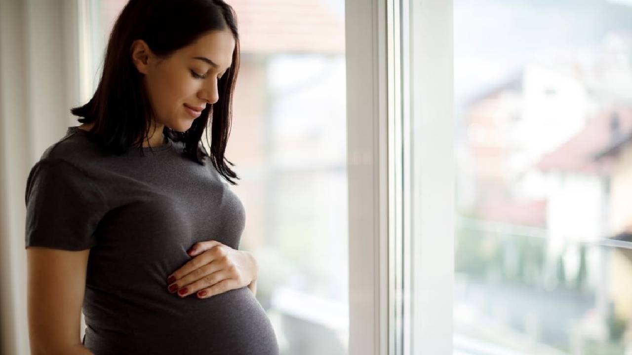 Pregnant Women Health Tips: శీతాకాలంలో గర్భిణుల ఆరోగ్యానికి నిపుణుల సూచనలు ఇవే..