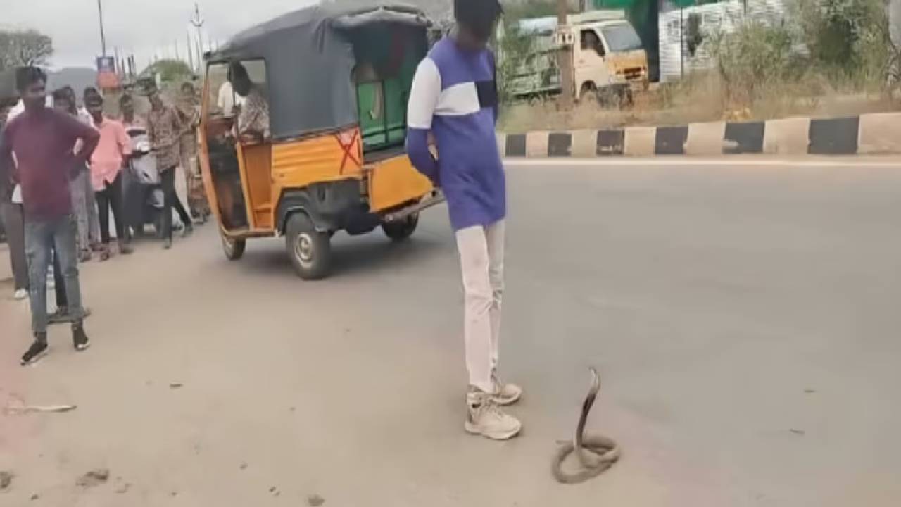Viral Video: తాగిన మత్తులో విష సర్పంతో ఆటలు.. చివరికి ఏమైందంటే..