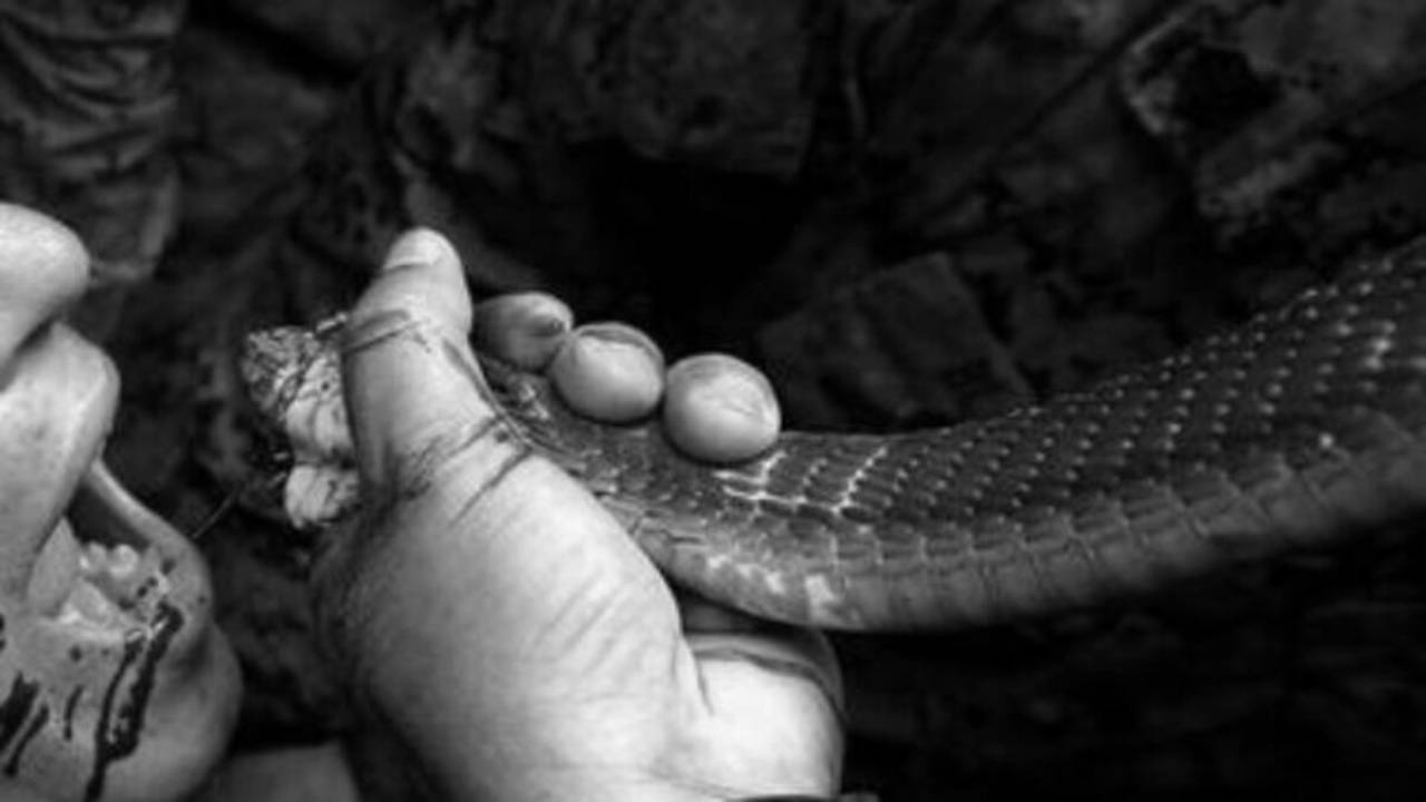 OMG : కాటేసిందని పాము పై ప్రతీకారం తీర్చుకున్న యువకుడు