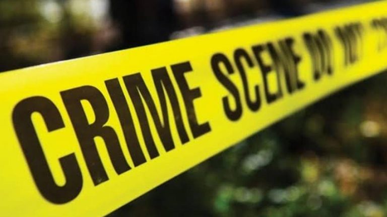 Crime News: క్రైమ్ సినిమా చూసి భార్య హత్య.. శరీరాన్ని ముక్కలుగా కోసి పలుచోట్ల పడేసిన భర్త