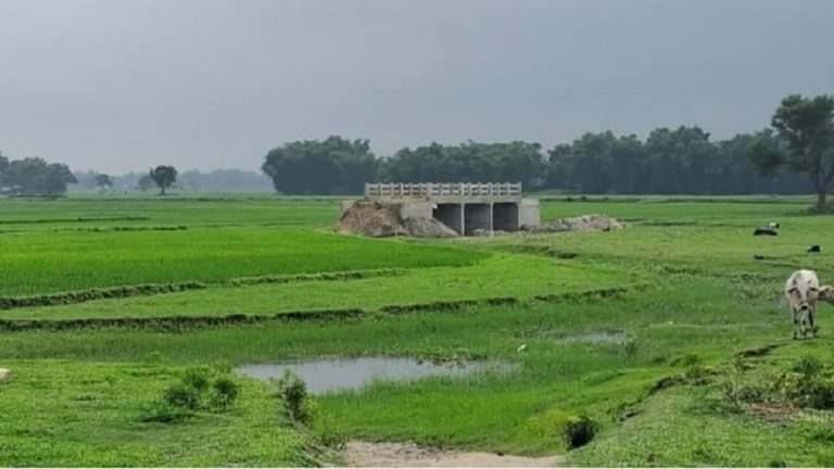 Bihar: అరే ఏంట్రా ఇది.. మైదానంలో రూ.3 కోట్లతో వంతెన..