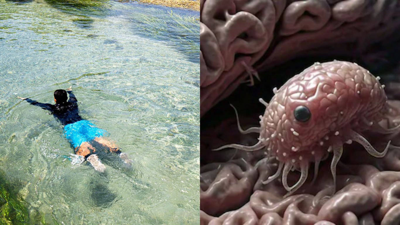 Brain Eating Amoeba: మరో ముగ్గురికి సోకిన మెదడును తినే అమీబా.. చెరువులో స్నానం చేయడానికి వెళ్లి..