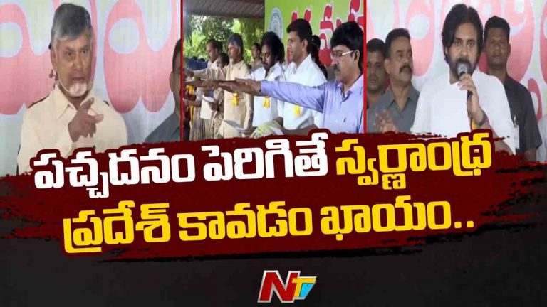 AP CM Chandrababu: ప్రకృతి విపత్తులు పోవాలంటే చెట్లు నాటడమే ఏకైక మార్గం